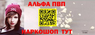 твердый Кингисепп