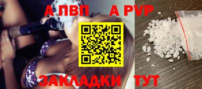 твердый Кингисепп