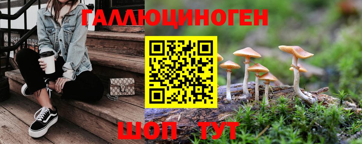 Псилоцибиновые грибы мицелий  где продают наркотики  Клин  Вход с VPN 